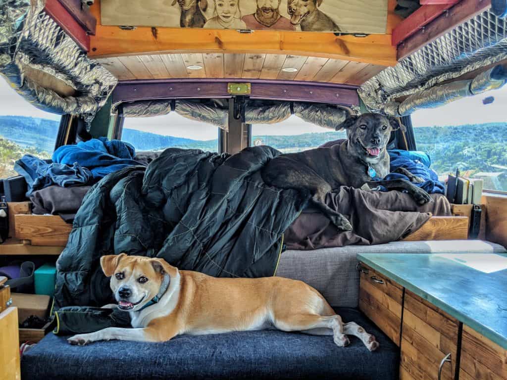 Vanlife with Dogs: Tips, Challenges, and Fun on the Road